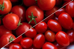 Cherry and grape tomatoes in a photo composite. 