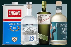 Engine Organic Gin, Le Gin 13, Uncle Val's Botanical Gin, Elena Gin