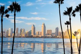 A skyline of San Diego, California with palm trees