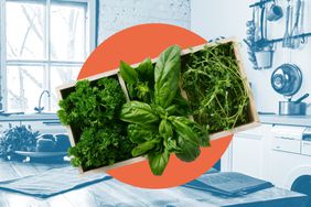 A photo composite of herbs and a kitchen.