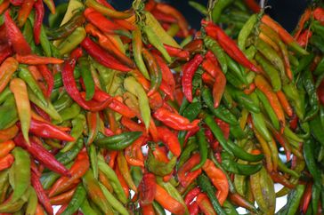 A bunch of fresh multicolored hatch peppers at a market.