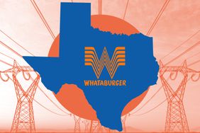 A map of Texas with the Whataburger logo, in a photo composite over power lines. 