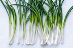 Raw organic green onions ready to cook, top view